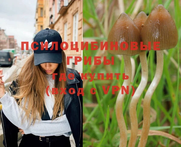 таблы Новозыбков