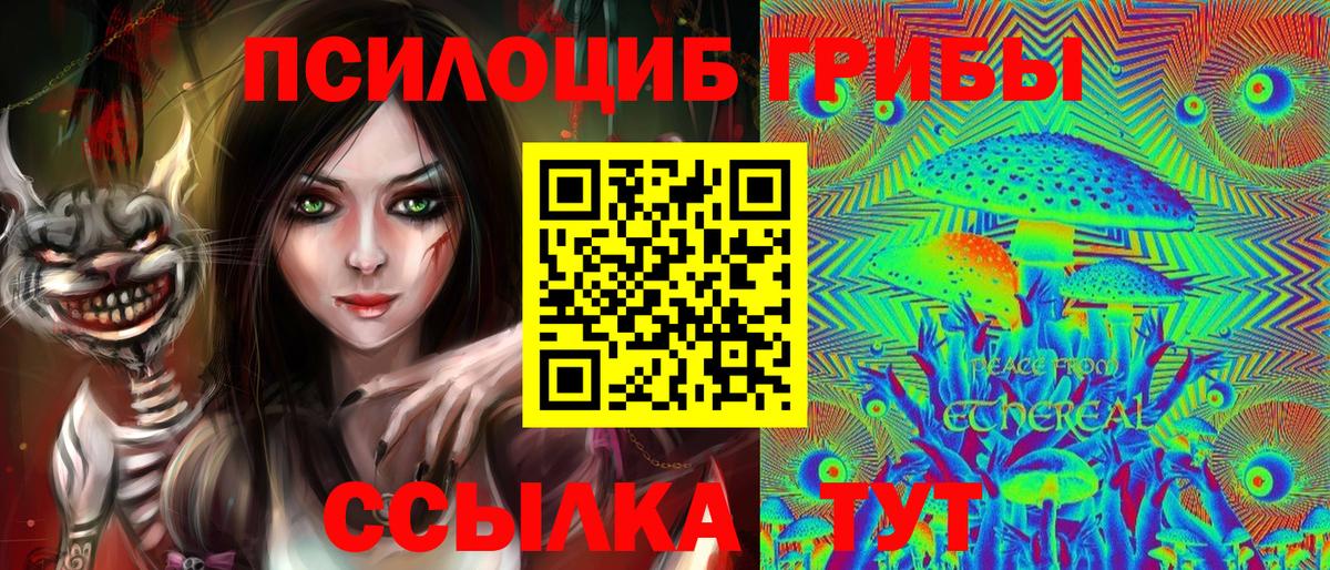 Псилоцибиновые грибы Cubensis  где продают наркотики  Вход с VPN  Владимир  Псилоцибиновые грибы Magic Shrooms 