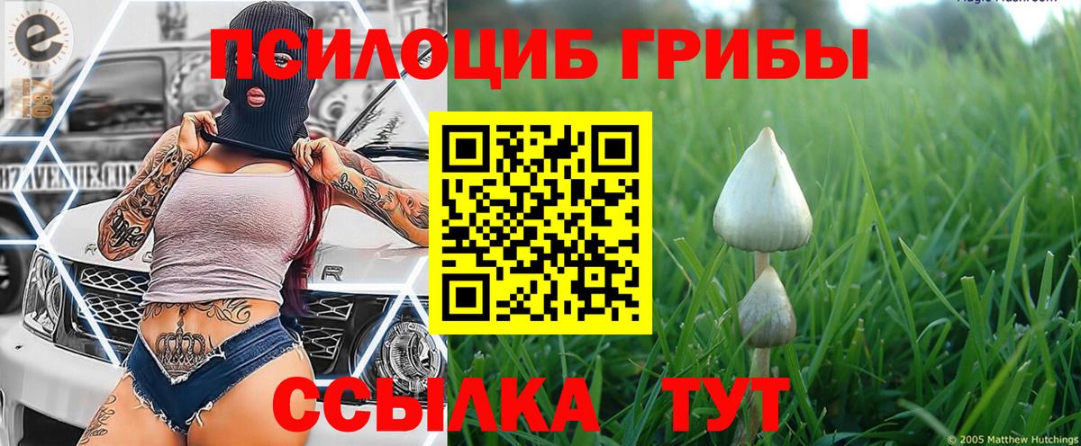 Галлюциногенные грибы Magic Shrooms Владимир