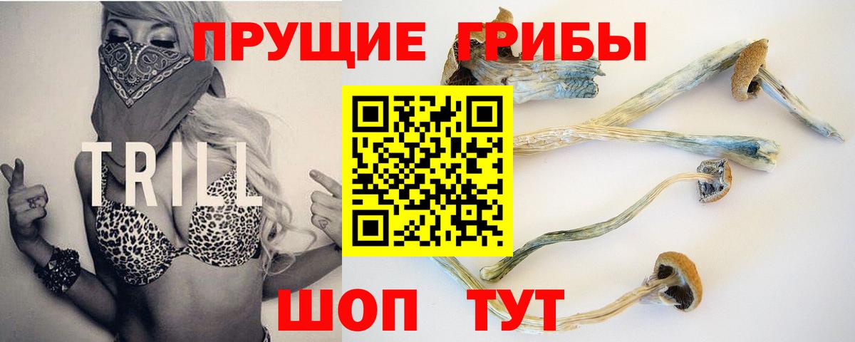 Галлюциногенные грибы ЛСД Владимир
