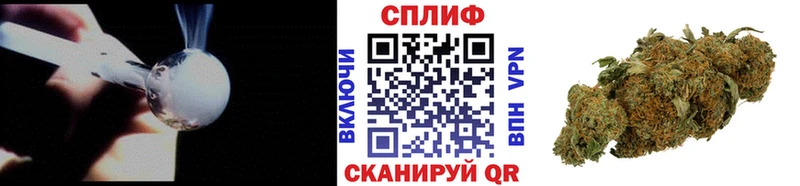 где можно купить наркотик  Владимир  МАРИХУАНА ГИДРОПОН 