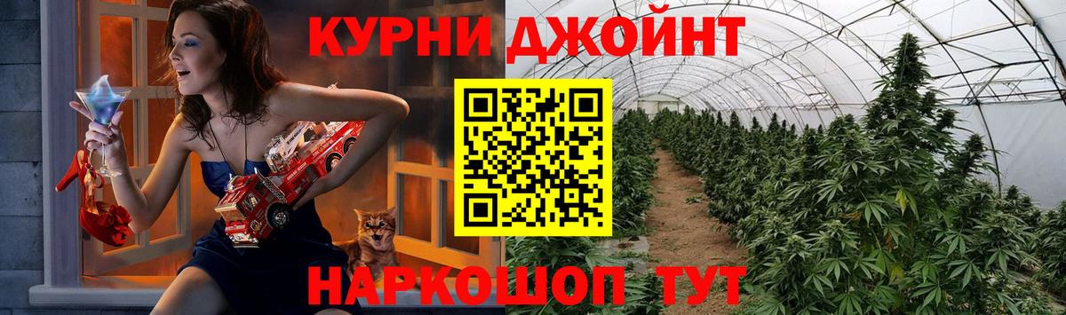 Марихуана OG Kush  Каннабис сатива  Владимир  Бошки Шишки семена 